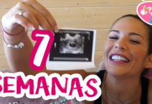 Cosas Prohibidas | 7 Semanas De Embarazo